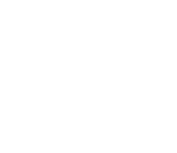 Soil Tax Guys Logo